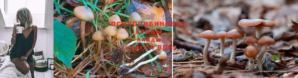 бутират Ладушкин