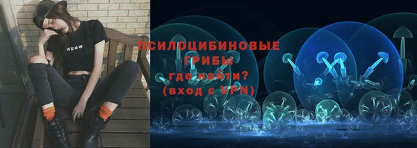 соль ск Лабытнанги
