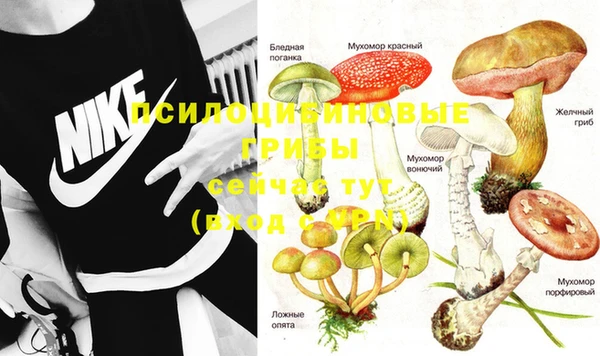 соль ск Лабытнанги