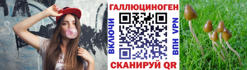 Псилоцибиновые грибы Magic Shrooms  Купить  Белогорск 